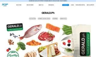 Preview of the GERALD.ph Case Study