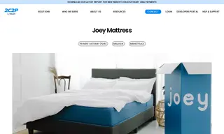 Preview of the Joey Mattress Case Study
