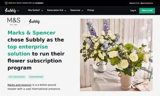 Preview of the Marks & Spencer Case Study
