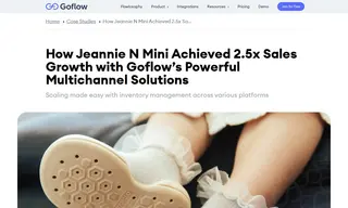 Preview of the Jeannie N Mini LLC Case Study