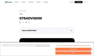Preview of the StradVision Case Study