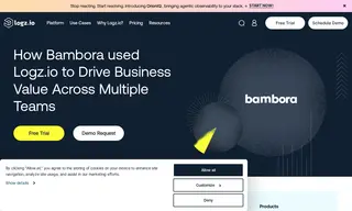 Preview of the Bambora Case Study