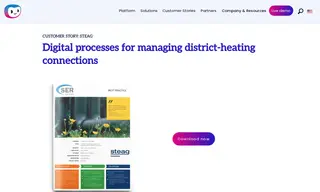 Preview of the STEAG Case Study
