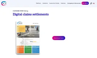 Preview of the Delvag Versicherungs Case Study
