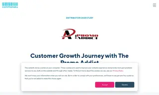 Preview of the The Promo Addict Case Study