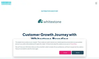 Preview of the Whitestone Branding Case Study