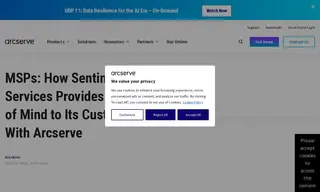Preview of the Sentinel IT Services Case Study