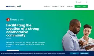 Preview of the Celebal Technologies Case Study