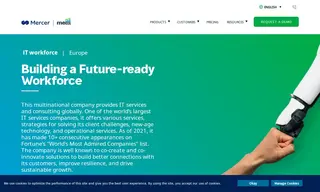 Preview of the IT Major - Clients Case Study
