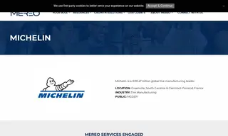 Preview of the Michelin Case Study