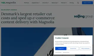 Preview of the Salling Group Case Study