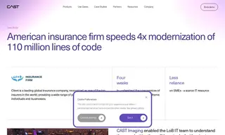Preview of the American Insurance Firm Case Study