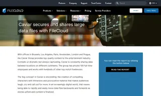 Preview of the Caviar Group Case Study