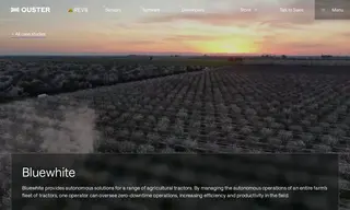 Preview of the Bluewhite Case Study