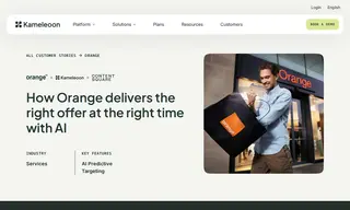 Preview of the Orange France Case Study