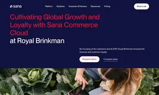 Preview of the Royal Brinkman Case Study