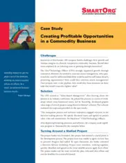 Preview of the Fortune 100 Company Case Study