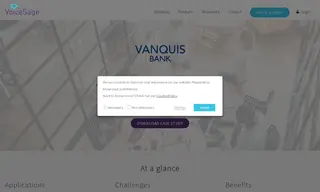 Preview of the Vanquis Bank Case Study