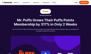 Preview of the Mr. Puffs Case Study