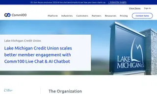 Preview of the Lake Michigan Credit Union Case Study