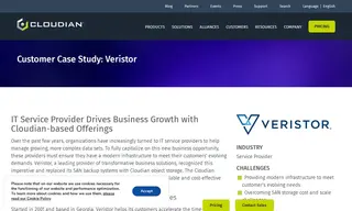 Preview of the Veristor Case Study