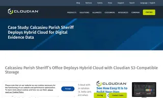 Preview of the Calcasieu Parish Sheriff's Office Case Study