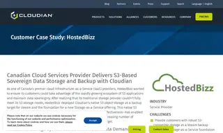Preview of the HostedBizz Case Study