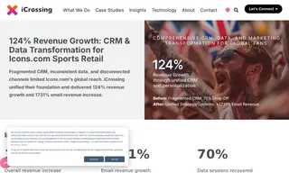 Preview of the Icons.com Case Study