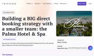 Preview of the The Palms Hotel & Spa Case Study