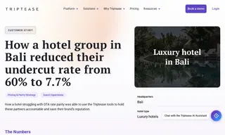 Preview of the Hotel Group in Bali Case Study