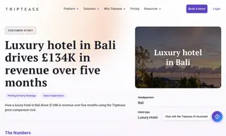 Preview of the Luxury Hotel Case Study