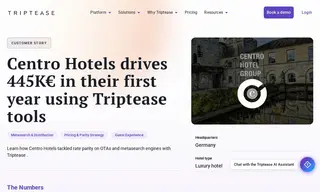 Preview of the Centro Hotels Case Study