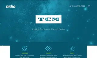 Preview of the Turner Classic Movies Case Study