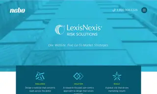 Preview of the LexisNexis Risk Solutions Case Study