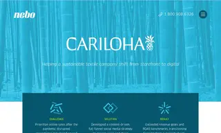 Preview of the Cariloha Case Study