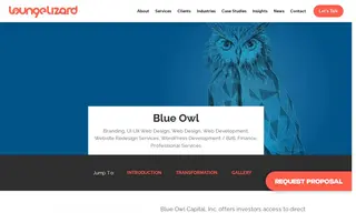Preview of the Blue Owl Capital, Inc Case Study