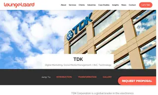 Preview of the TDK Corporation Case Study