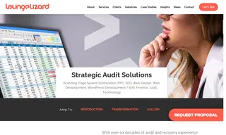 Preview of the Strategic Audit Solutions Case Study