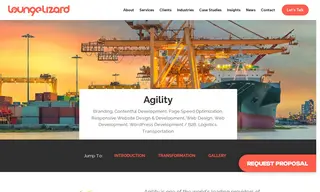 Preview of the Agility Case Study