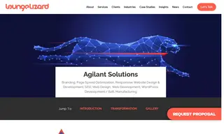 Preview of the Agilant Solutions Case Study