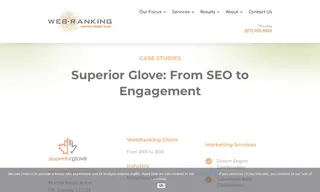 Preview of the Superior Glove Case Study