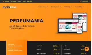 Preview of the Perfumania Case Study