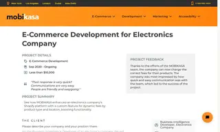Preview of the Electronics Company Case Study