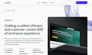 Preview of the Ascentek Case Study