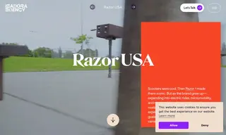 Preview of the Razor USA Case Study