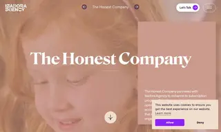 Preview of the The Honest Company Case Study
