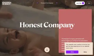 Preview of the Honest Company Case Study