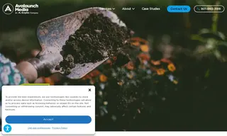 Preview of the Dalen Products Case Study