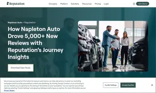 Preview of the Napleton Automotive Group Case Study