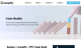 Preview of the Burgex Case Study